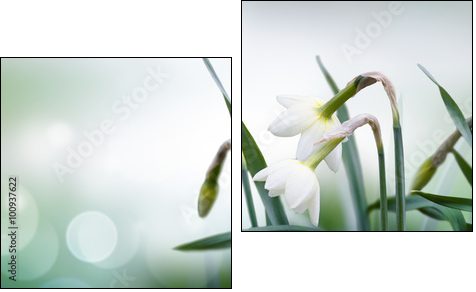 abstract spring background - Two-piece canvas print, Diptych