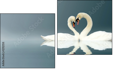 Love Swans - Two-piece canvas print, Diptych