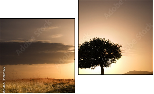 solitary oak tree in golden sunset - Two-piece canvas print, Diptych