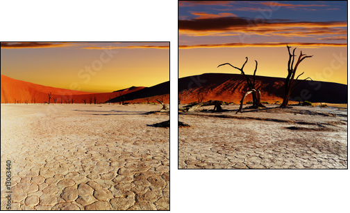 Namib Desert, Sossusvlei, Namibia - Two-piece canvas print, Diptych