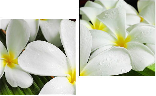 flowers spa - Two-piece canvas print, Diptych