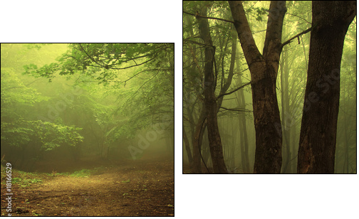 Green forest with fog - Two-piece canvas print, Diptych