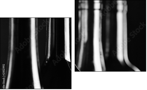 bottles - Two-piece canvas print, Diptych