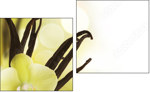Beautiful Vanilla beans and flower over blurred background - Two-piece canvas print, Diptych
