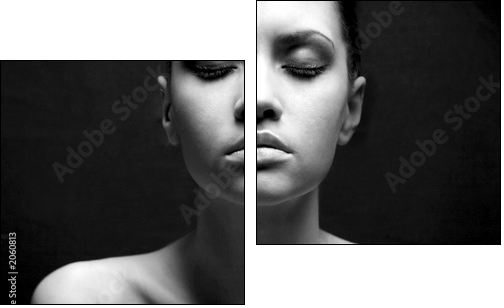 portrait of beauty. sexy fashion girl. - Two-piece canvas print, Diptych