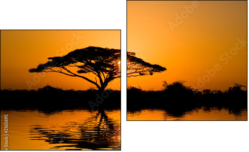 acacia tree at sunrise - Two-piece canvas print, Diptych