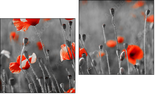 red poppies on  field - Two-piece canvas print, Diptych