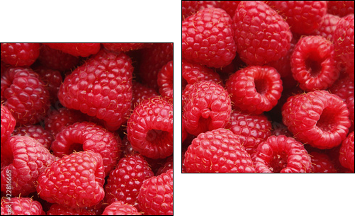 Sweet raspberry - Two-piece canvas print, Diptych
