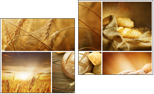 Wheat Collage.Harvest concepts - Two-piece canvas print, Diptych