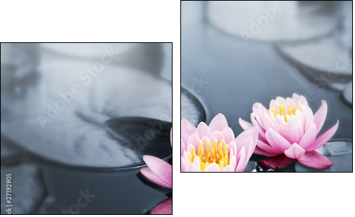 Lotus blossoms - Two-piece canvas print, Diptych