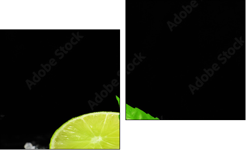 Lime on a black background - Two-piece canvas print, Diptych