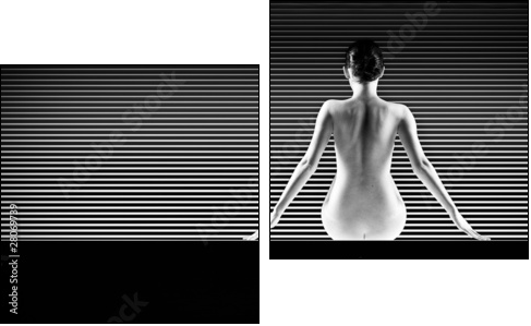 black and white artistic nude; a back silhouette shot on striped - Two-piece canvas print, Diptych