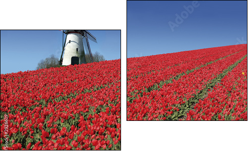 dutch mill and red tulips - Two-piece canvas print, Diptych