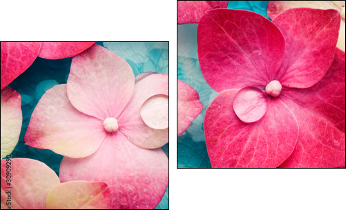 Wellness - Two-piece canvas print, Diptych