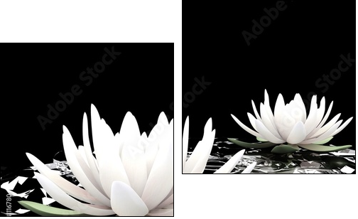 3d lotus on water - Two-piece canvas print, Diptych
