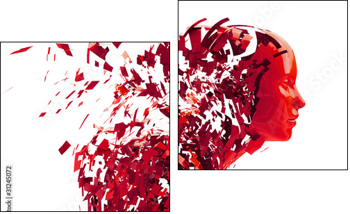 abstract character shattered into pieces - Two-piece canvas print, Diptych