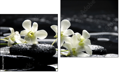 Zen stones and white orchids with reflection - Two-piece canvas print, Diptych
