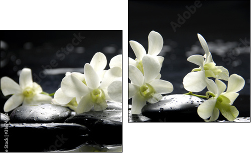 Zen stones and pink orchids with reflection - Two-piece canvas print, Diptych