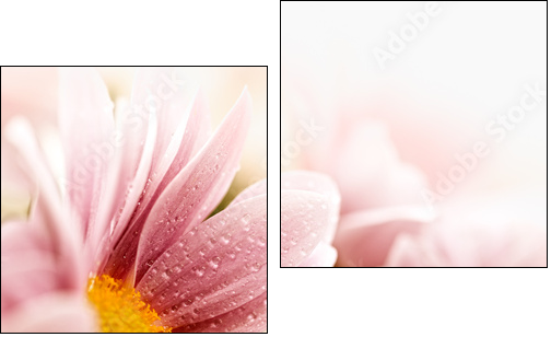 Beautiful daisy flowers closeup - Two-piece canvas print, Diptych