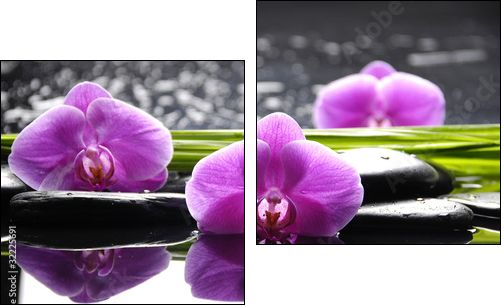 Spa still life with set of pink orchid and stones reflection - Two-piece canvas print, Diptych