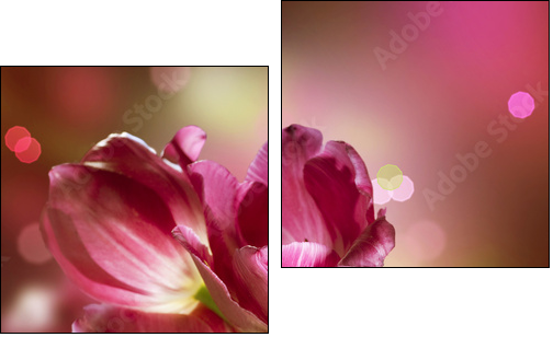 Flowers. Anniversary Card Design - Two-piece canvas print, Diptych