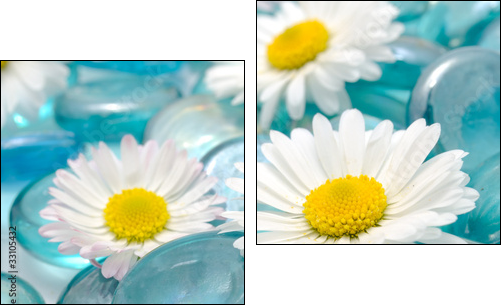 Daisy Flowers on Blue Glass Stones - Two-piece canvas print, Diptych