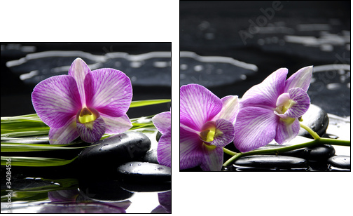 Pink orchid with bamboo leaf and stones with reflection - Two-piece canvas print, Diptych