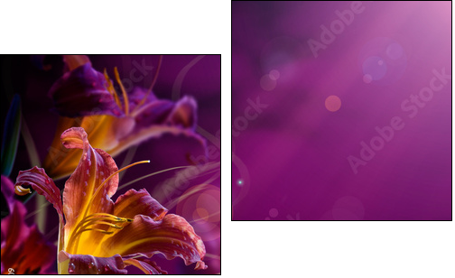 abstract floral background.With copy-space - Two-piece canvas print, Diptych