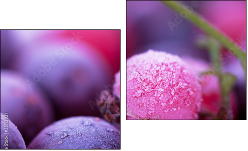 Frozen berries - Two-piece canvas print, Diptych
