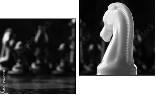 white knight chess piece - Two-piece canvas print, Diptych