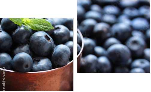 Blueberries - Two-piece canvas print, Diptych