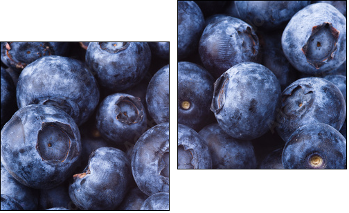 many blueberries - Two-piece canvas print, Diptych