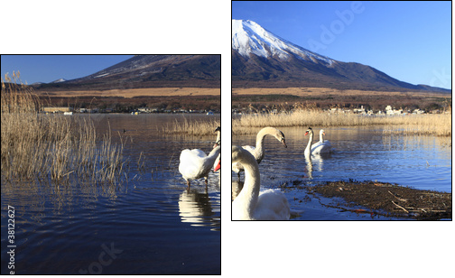 Mt. Fuji and Swans - Two-piece canvas print, Diptych