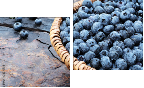 Fresh Blueberries - Two-piece canvas print, Diptych