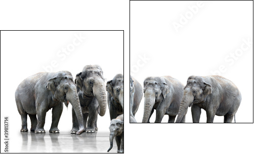 Elefantenherde - Two-piece canvas print, Diptych