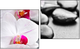 orchid - Two-piece canvas print, Diptych