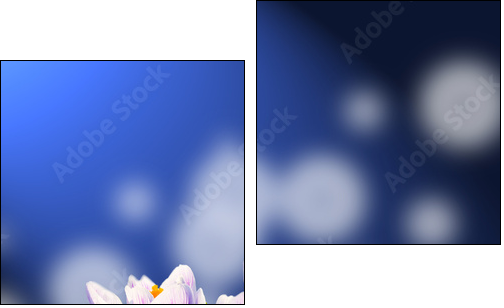 Crocus in the snow - Two-piece canvas print, Diptych