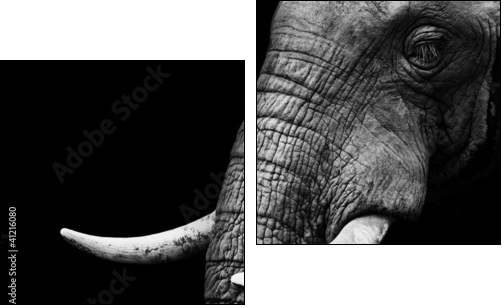 African Elephant Close Up - Two-piece canvas print, Diptych