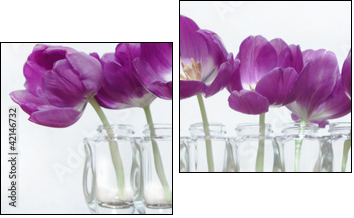 Tulpen - Two-piece canvas print, Diptych