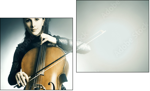 Cello musical instrument musician cellist playing - Two-piece canvas print, Diptych