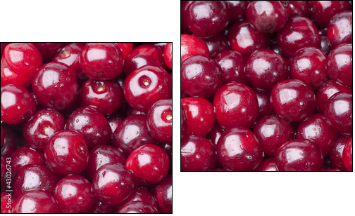 Cherry - Two-piece canvas print, Diptych