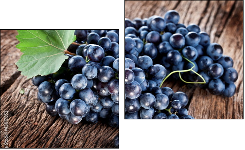 Grapes - Two-piece canvas print, Diptych
