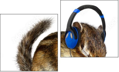 Funny chipmunk listening to music on headphones - Two-piece canvas print, Diptych