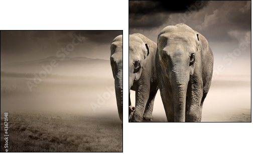 Pair of elephants in motion - Two-piece canvas print, Diptych