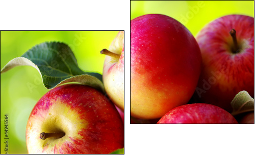 ripe red apples on table - Two-piece canvas print, Diptych