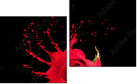 red rose splashes - Two-piece canvas print, Diptych