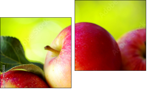 ripe red apples on table - Two-piece canvas print, Diptych