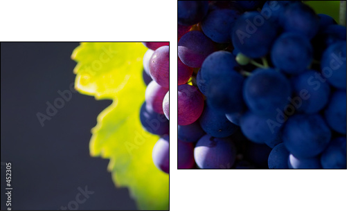 glowing dark wine grapes - Two-piece canvas print, Diptych