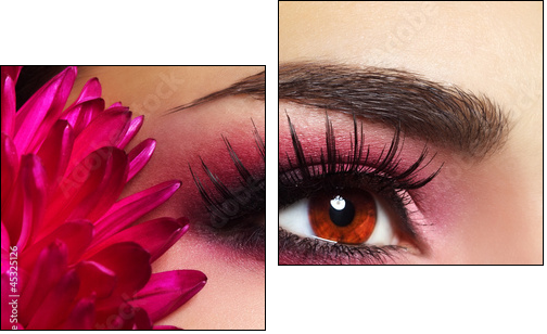 Beautiful Eye Makeup with Aster Flower - Two-piece canvas print, Diptych