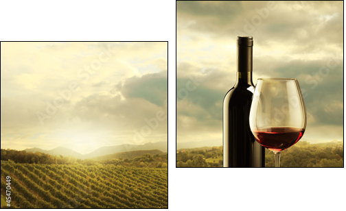 Vineyard at sunset - Two-piece canvas print, Diptych